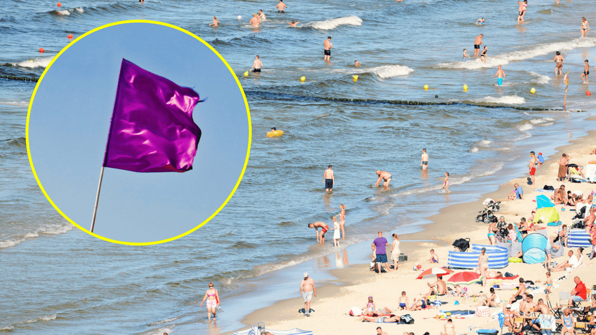 Fioletowa flaga to rzadkość, ale każdy powinien wiedzieć, co oznacza