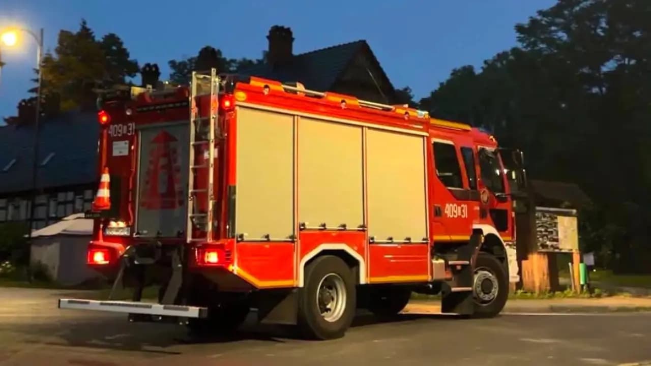 Potrącony kot w Kliczkowie. Do akcji zadysponowano strażaków z OSP Osiecznica