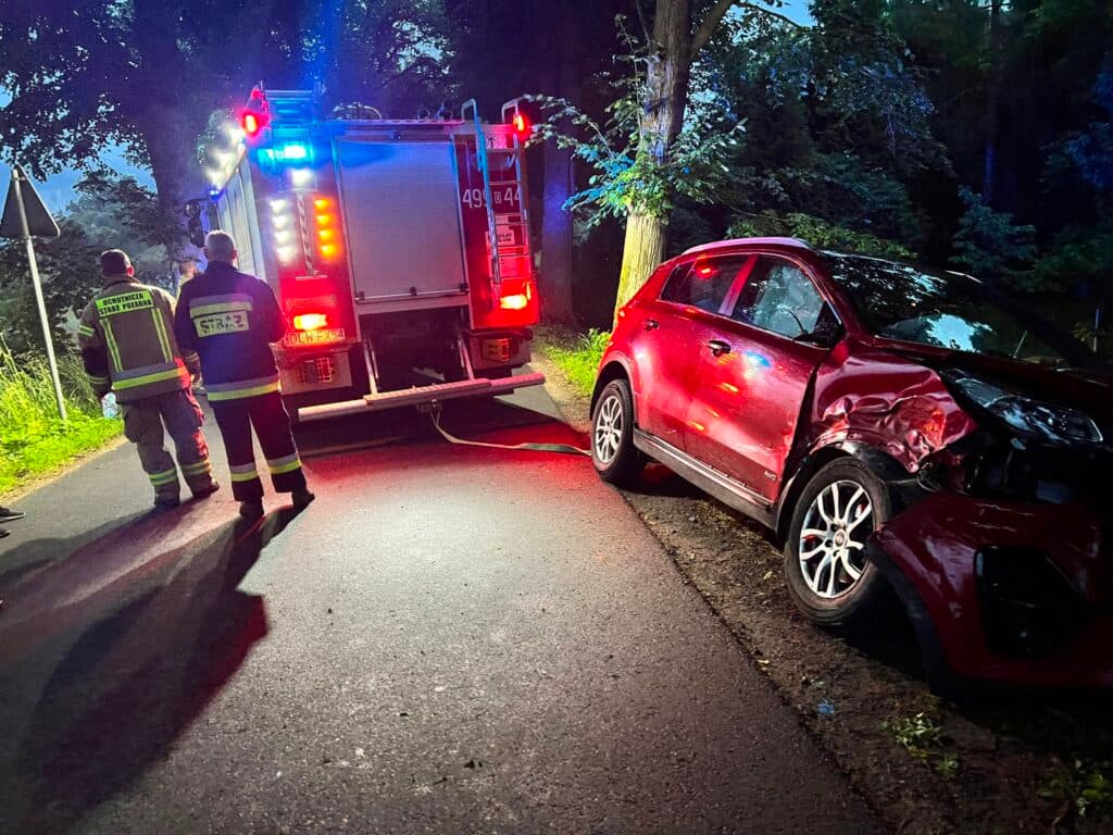 Poważny wypadek w Pilchowicach. Auto z impetem uderzyło w drzewo [NOCNA AKCJA]