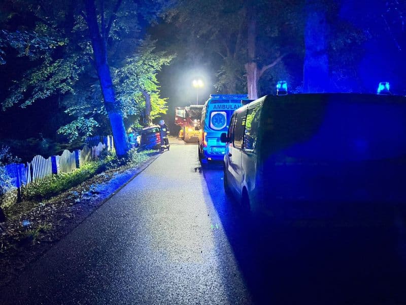 Znamy kulisy nocnego uderzenia w drzewo w Pilchowicach! Za kierownicą Kii siedziała naćpana 24-latka
