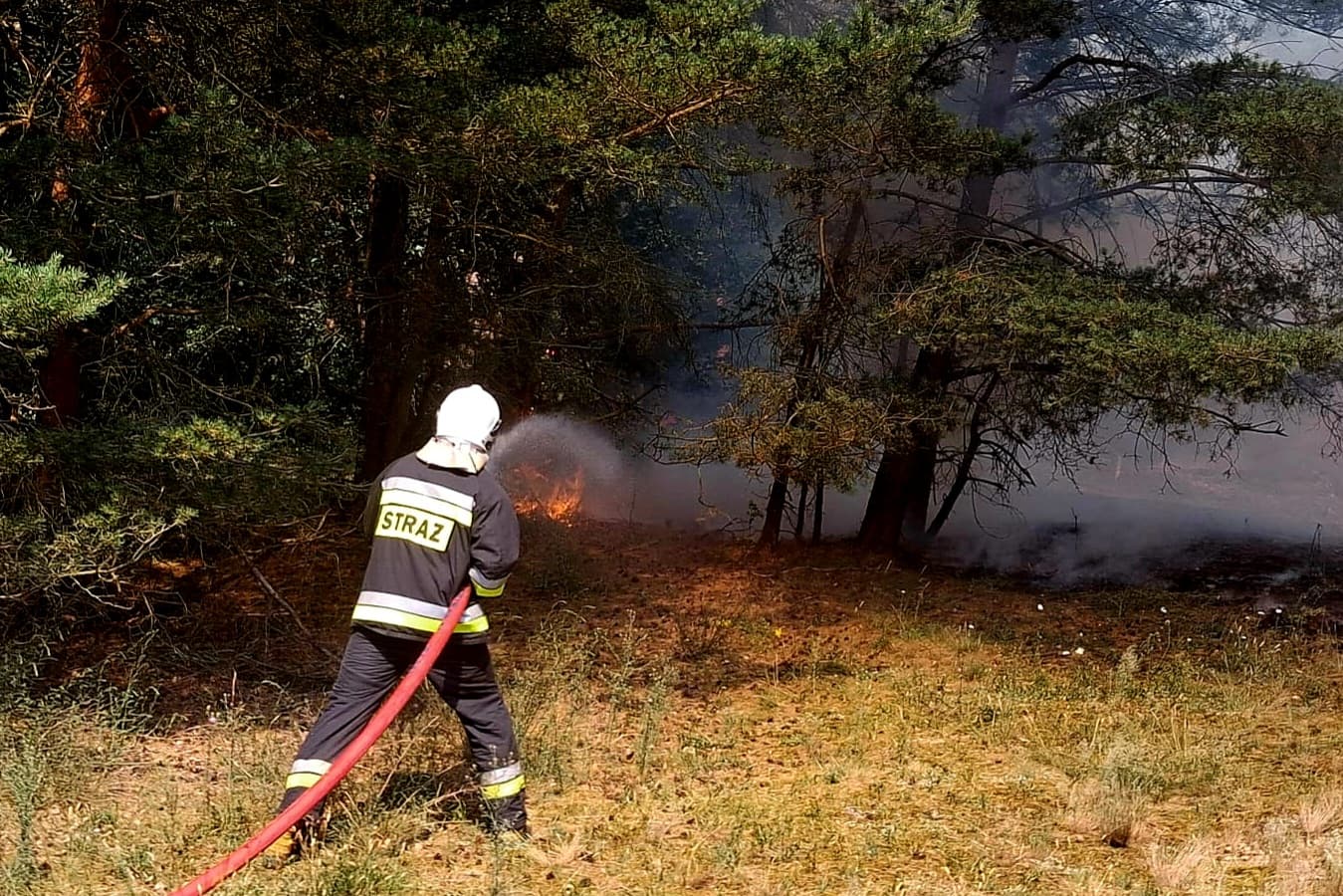 Pożar ściółki leśnej na Wzgórzu Wisielców w Wolinie
