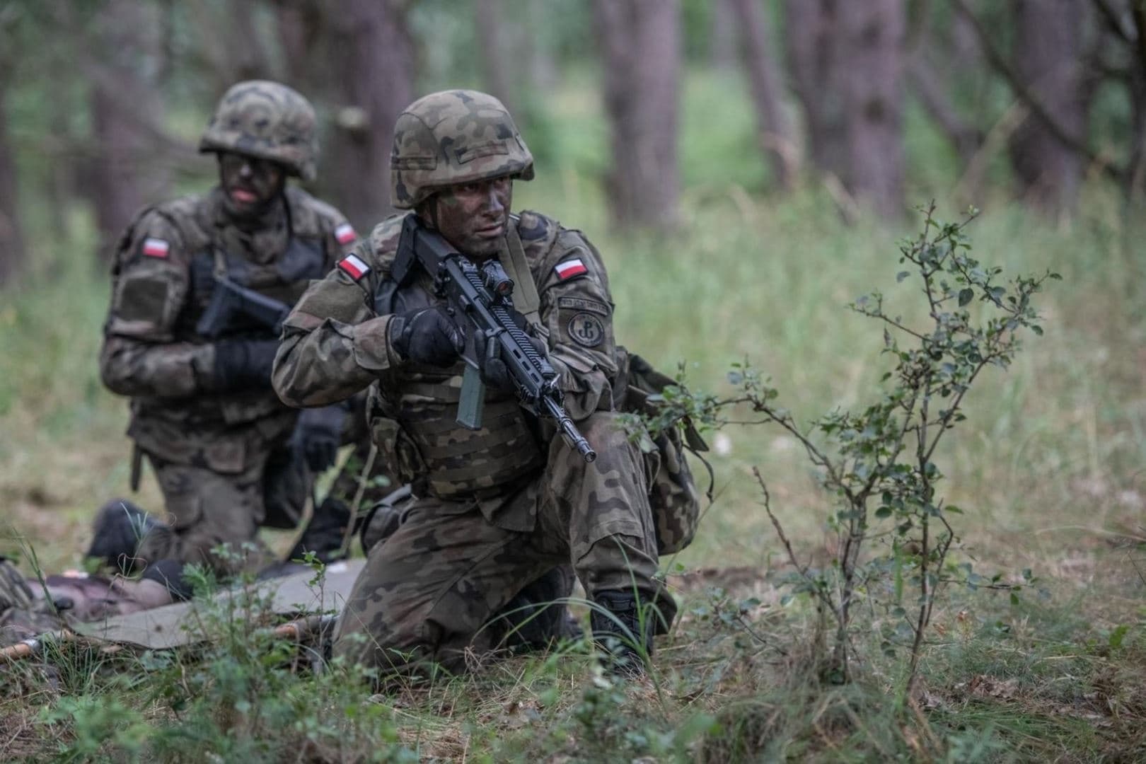 Polska zrobiła własnego Shaheda. Dron Szerszeń ma dolecieć nawet pod Moskwę
