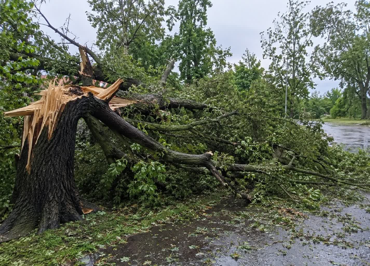 Mielec: 23 interwencje strażaków po gwałtownych burzach