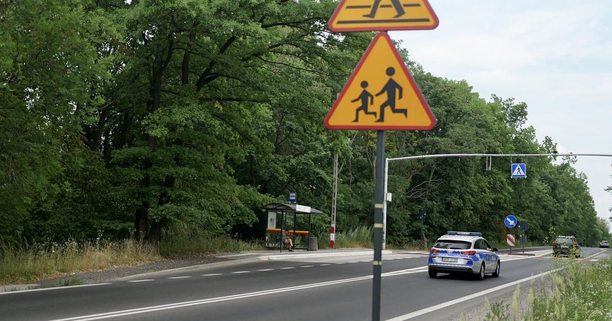 szczegóły Nowa sygnalizacja na Strykowskiej. Gdzie?
