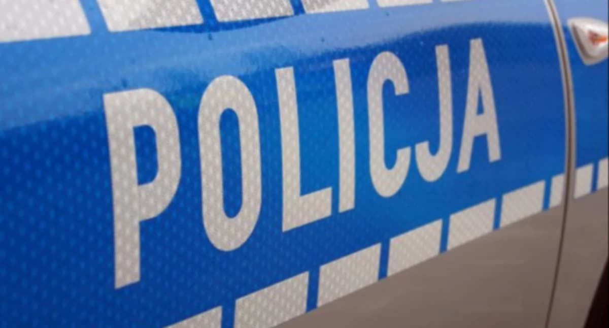 Kolejne zdarzenie na drodze krajowej pod Łowiczem. Zawinił 32-letni kierowca