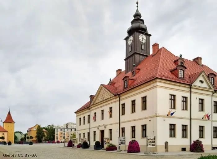 Wakacje z wojskiem zamiast pracy sezonowej. Prawie 6 tys. zł za szkolenie