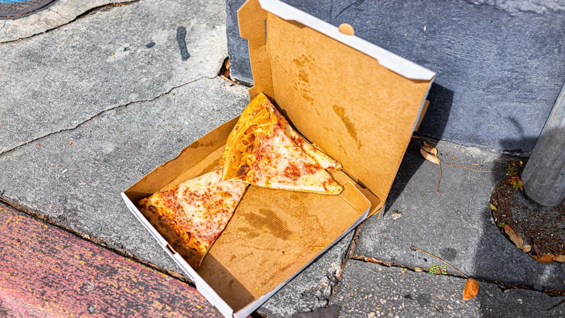 Gdzie wyrzucić karton po pizzy? Łatwo popełnić błąd przy niebieskim koszu
