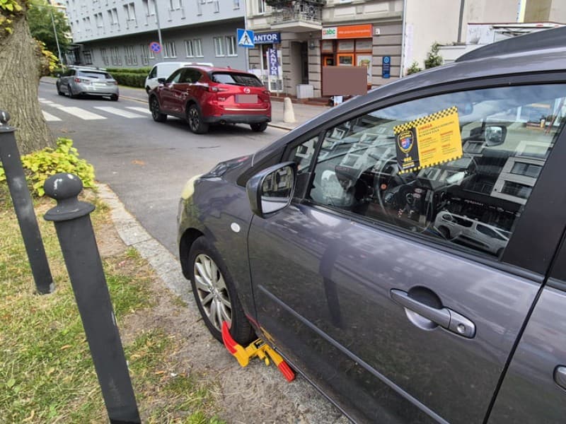 Parkowanie w porcie, a kierowca: zobacz, nie odholowali nam auta...