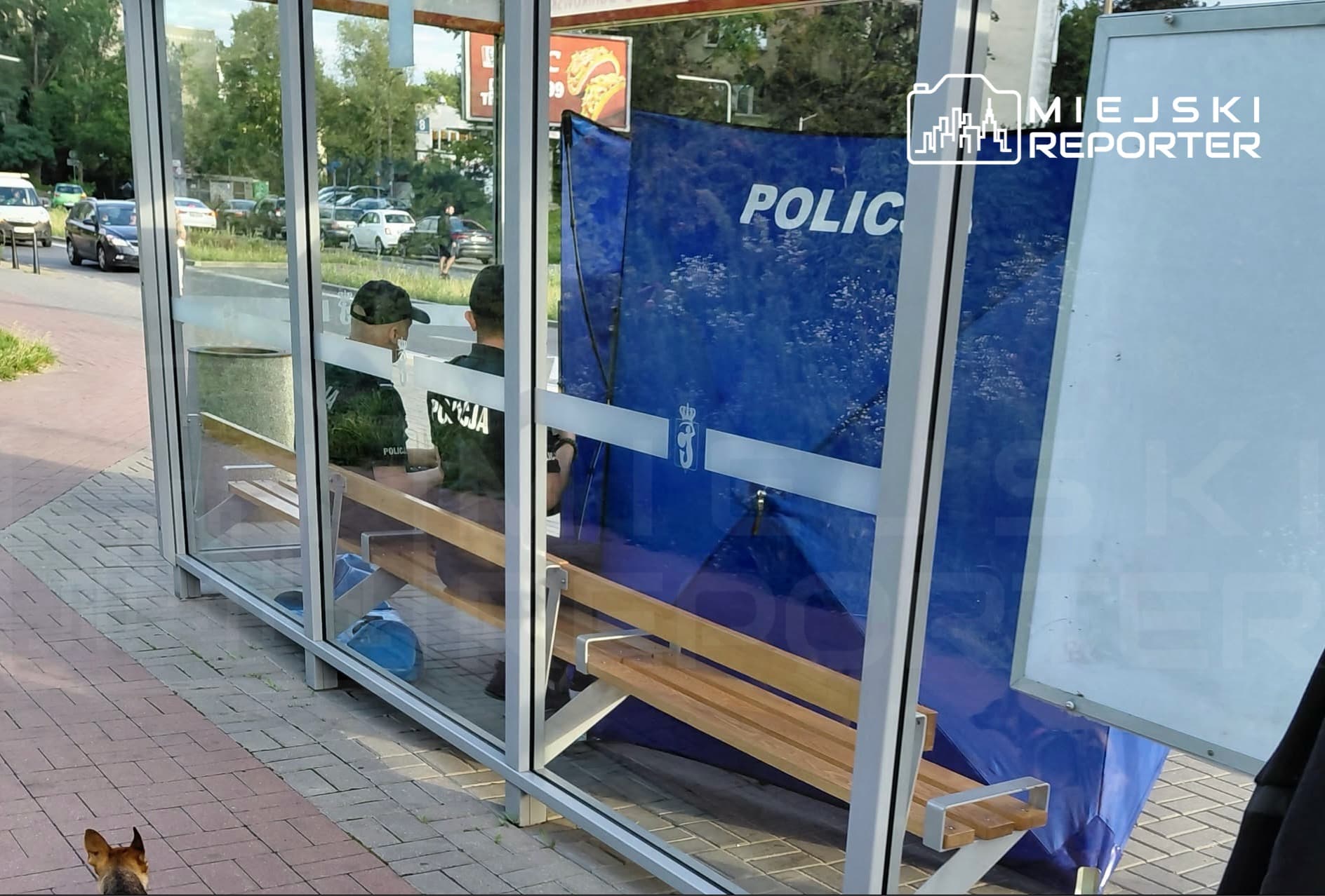Tragedia na przystanku autobusowym. 96-latek zasłabł i uderzył głową o ławkę. Mężczyzna zginął na miejscu