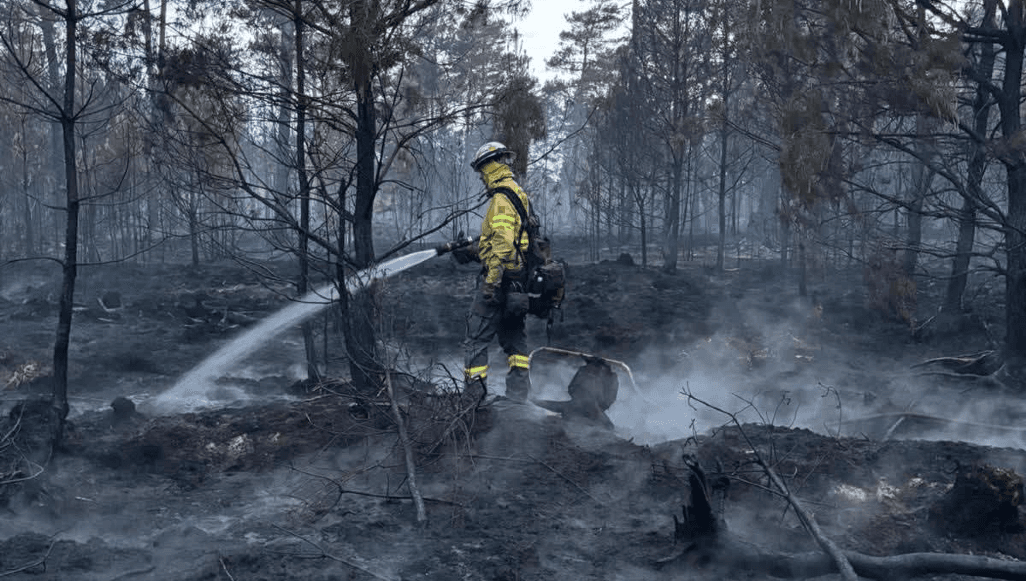 Sytuacja po pożarach lasów na Mazowszu. Stopniowa poprawa warunków, trwają działania dogaszające