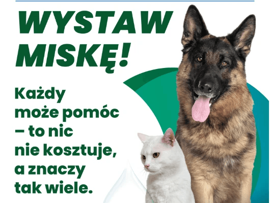 Mały gest, wielka moc – wystaw miskę dla zwierząt