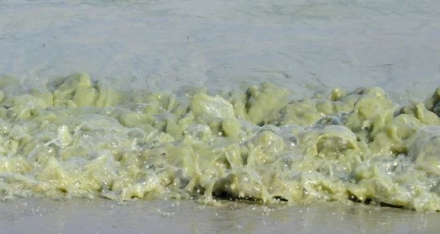 Czerwone flagi na plażach. Sanepid zakazał kąpieli