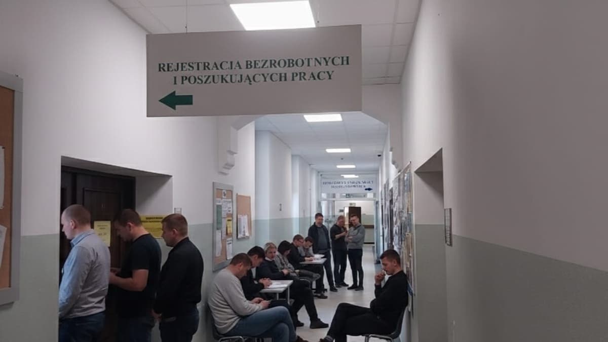 Powiat ostródzki: Nowe oferty pracy (22-29.06)