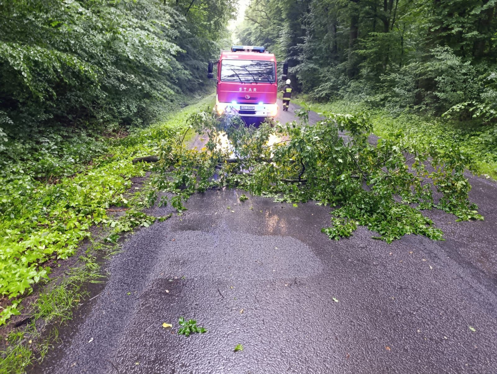 POWIAT NOWOTOMYSKI: 130 interwencji w ciągu 11 dni