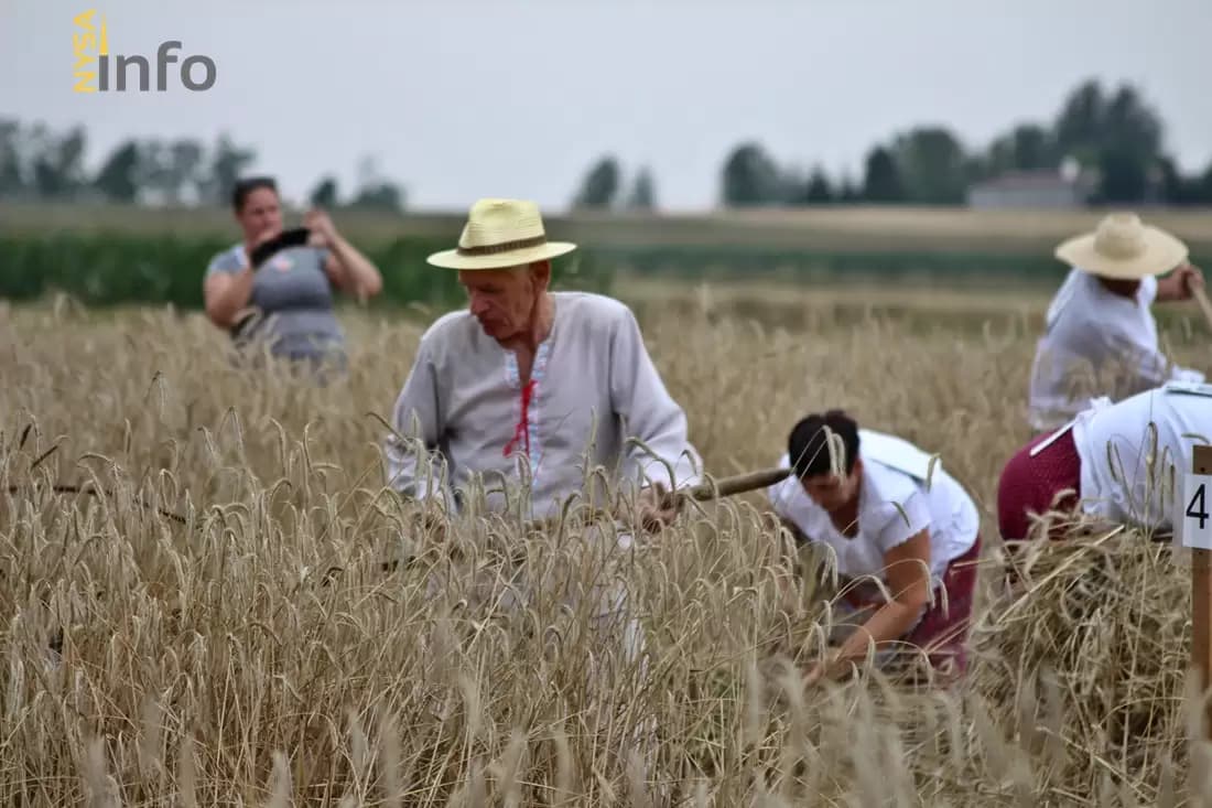 XXIV Turniej Żniwowania w Piątkowicach – „Złota Kosa”