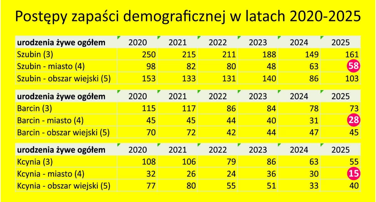 Czy zmian w sieci szkół da się uniknąć, czy są nieuniknione? Odpowiedzi z Szubina, Kcyni i Barcina oraz podsumowanie