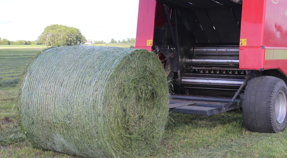 Drugi pokos mocno rozczarował. Lokalnie może brakować paszy