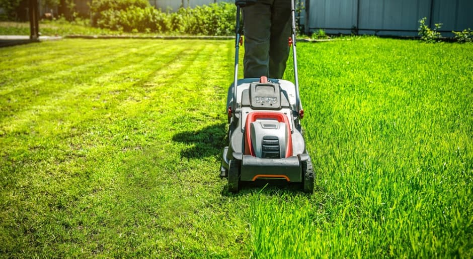 Dzisiaj, 7:16 Kosisz trawnik podczas upałów? Ten błąd może zniszczyć cały trawnik