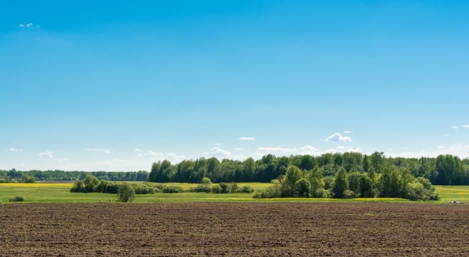 Dzisiaj, 19:30 Rolnicy mogą zainteresować się tą ofertą. KOWR wydzierżawi ponad 102 ha