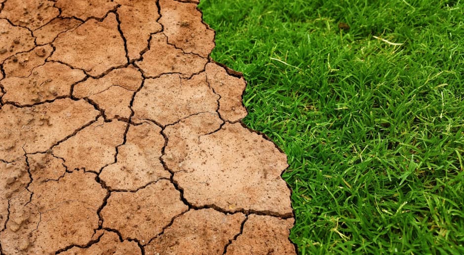 Dzisiaj, 11:25 Silne El Niño może wstrząsnąć rynkami rolnymi. Europa odczuje skutki pośrednio