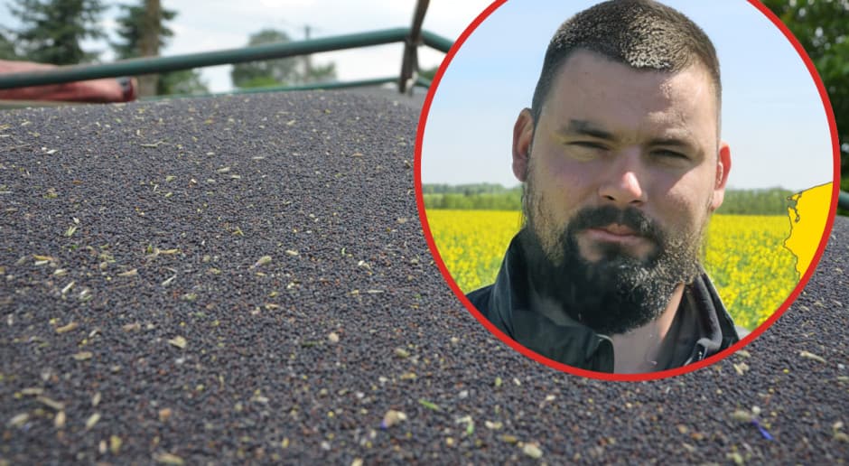 Zaolejenie ma znaczenie przy wyborze odmiany rzepaku. Marka Pioneer poleca PT326 i PT332