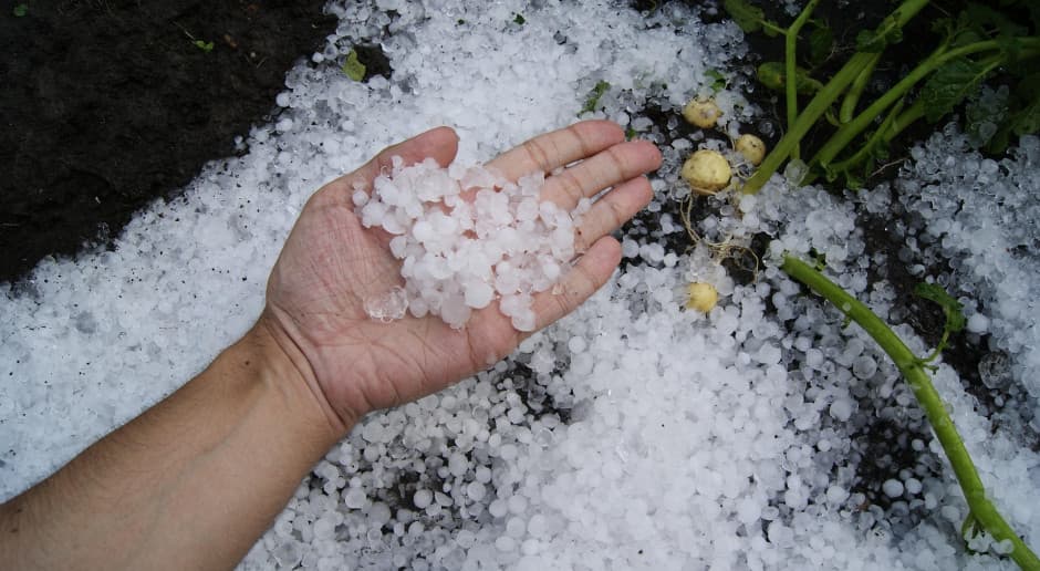 Przelotne opady deszczu i burze, lokalnie z gradem. Prognoza pogody na 15 i 16 lipca