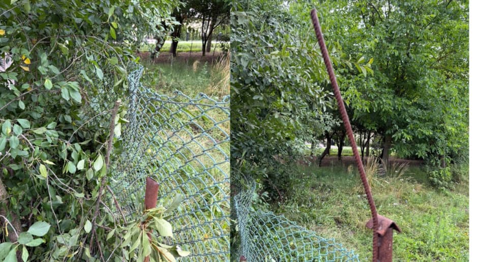 Dramatyczny wypadek podczas zbioru wiści. Pręt wbił się w ciało 64-latki