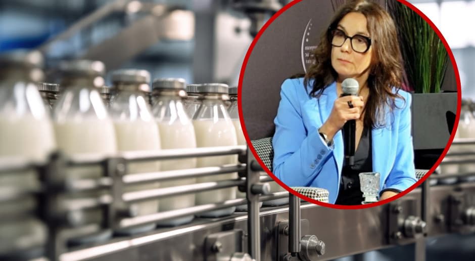 Ceny mleka nadal spadają. Maliszewska: produkcja rośnie, ale eksport wyraźnie hamuje