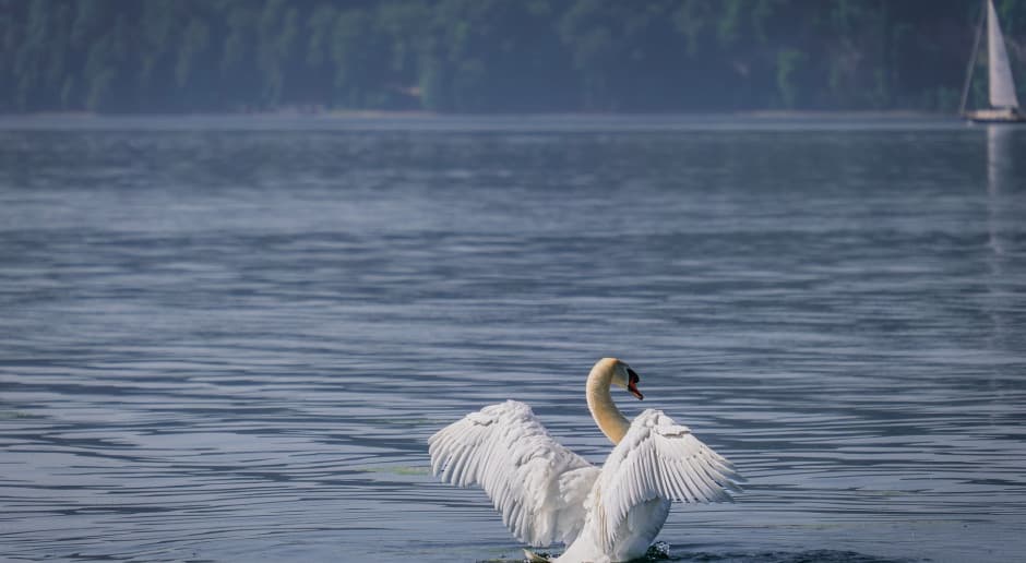 Rząd powiedział „nie”. Spór o ponad 1300 hektarów nabiera tempa