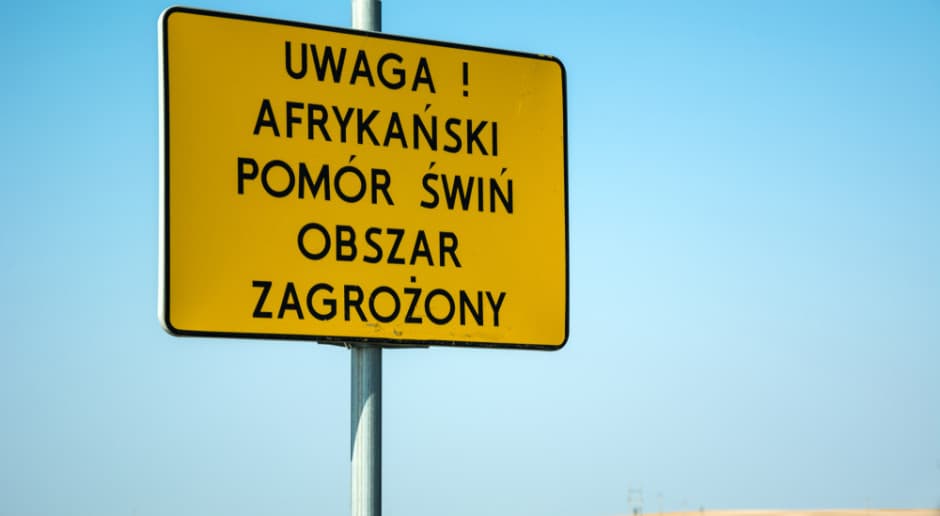 Znamy zasięg nowej czerwonej strefy ASF. 8 gmin z najwyższymi restrykcjami