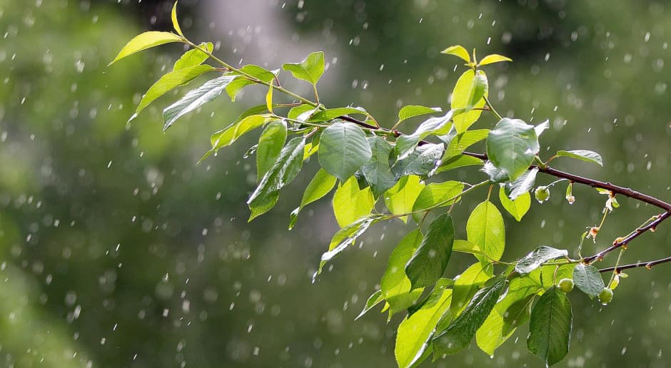 Prognoza pogody na 23 i 24 lipca: niż, burze i grad. Opady lokalnie do 40 mm