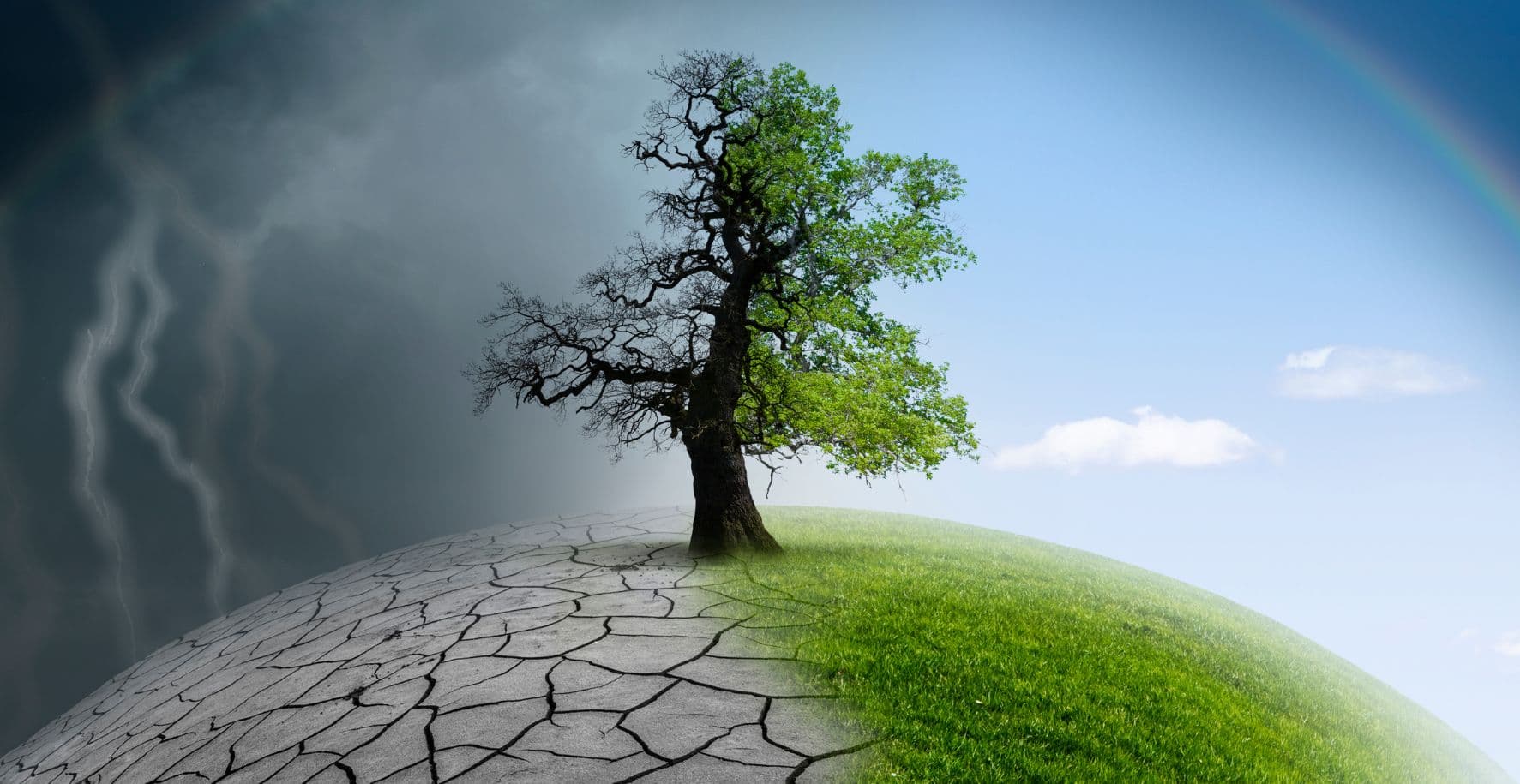 Środowisko Zdążyli przed klimatem i uratowali Ustkę! Gra miejska o odporności klimatycznej Paulina Aleksander
