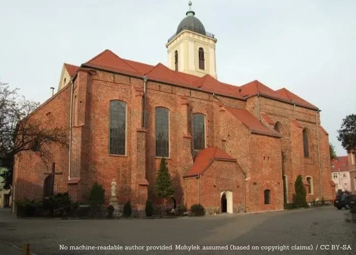 Czterdziestu młodych sportowców dostało stypendia. To pierwszy taki nabór w mieście