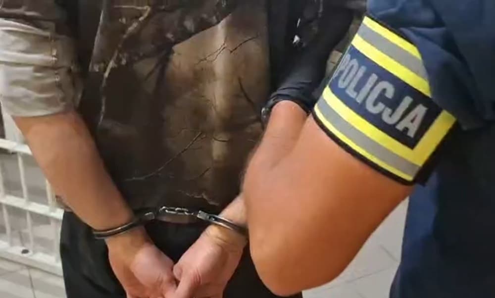 167 krzewów konopi zabezpieczonych. Trzech mężczyzn zatrzymanych po akcji zielonogórskich policjantów