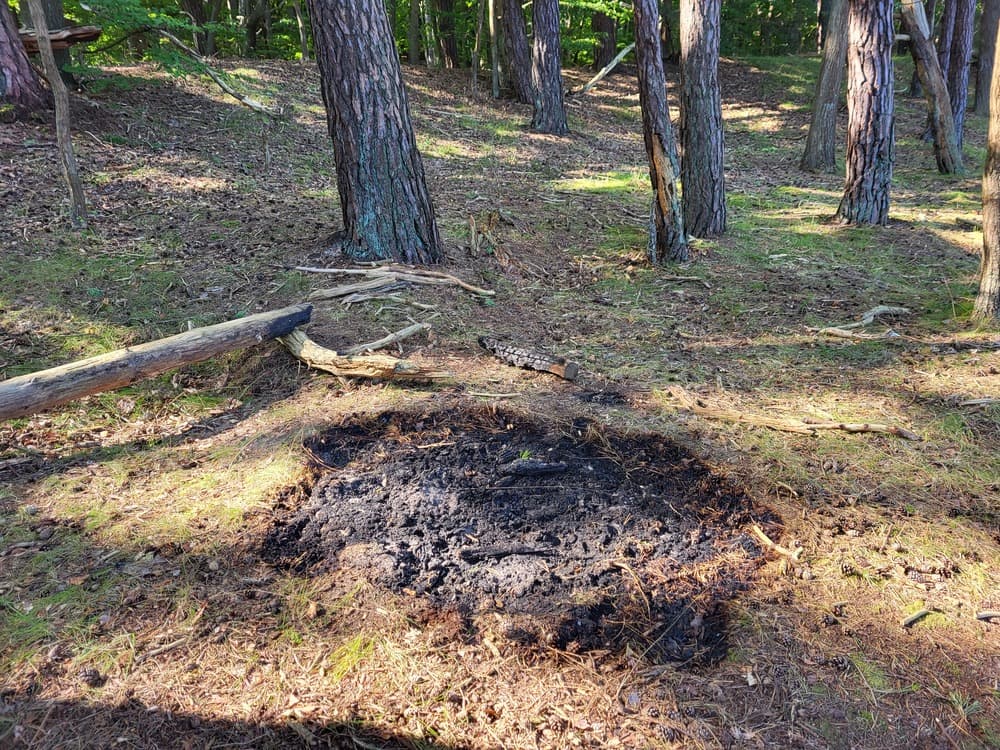 Skrajnie wysokie zagrożenie pożarowe (25-29.06.2026) Opublikowano: 25/06/2026 Szanowni Mieszkańcy, Szanowni Turyści, W związku z trwającą falą upałów i brakiem opadów, na terenie Wolińskiego Parku Narodowego oraz na otaczającym go terenie obowiązuje najwyższy stopień zagrożen
