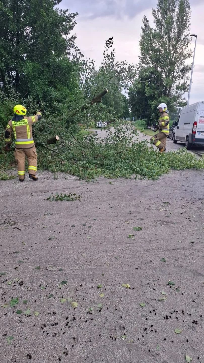 Na SygnaleWichura nad gminą Święciechowa – strażacy usuwali drzewa przez całą noc1H TEMU·4 WYŚWIETLEŃ