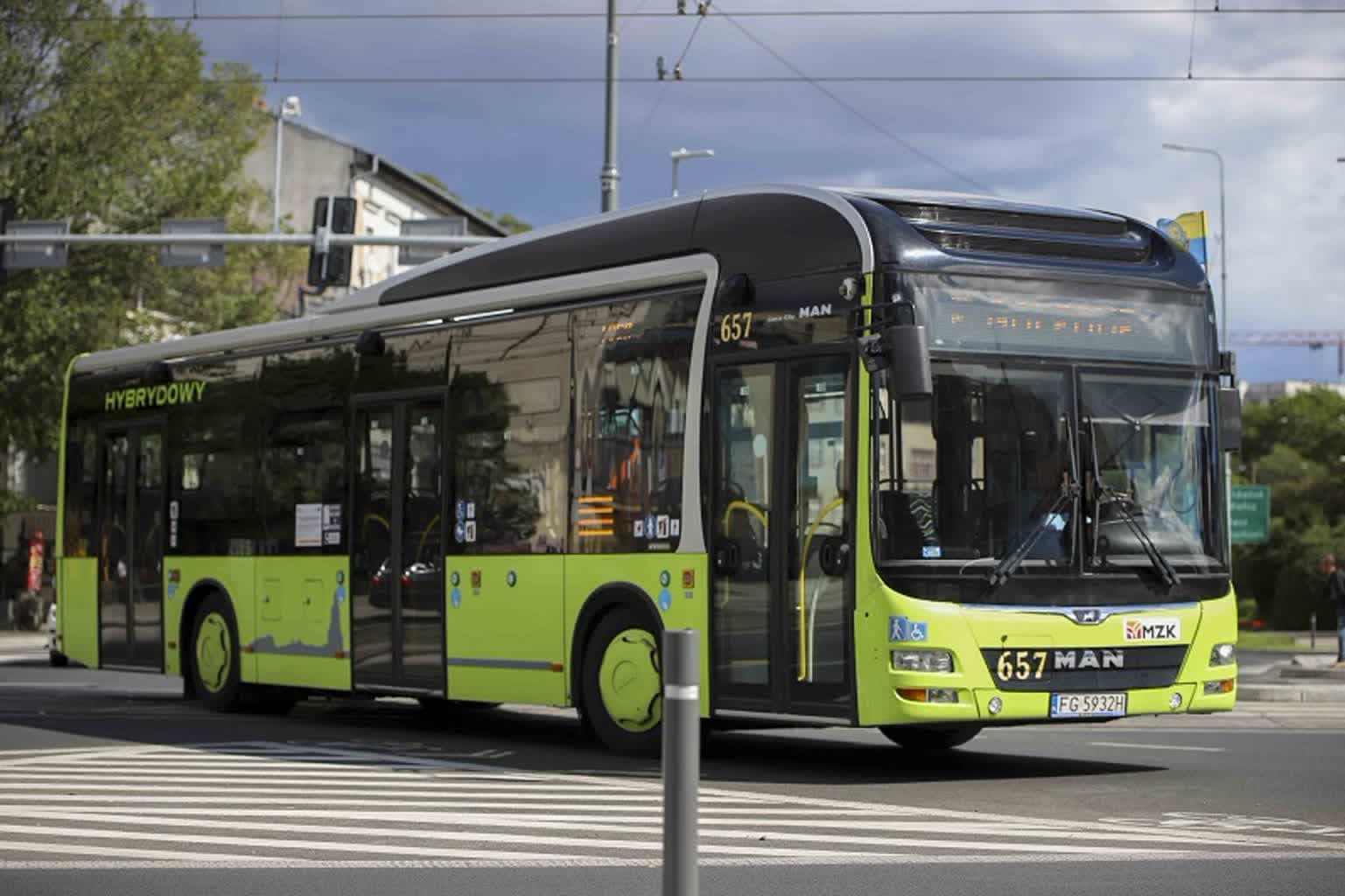 Urodzinowe autobusy dowiozą do Parku Górczyńskiego