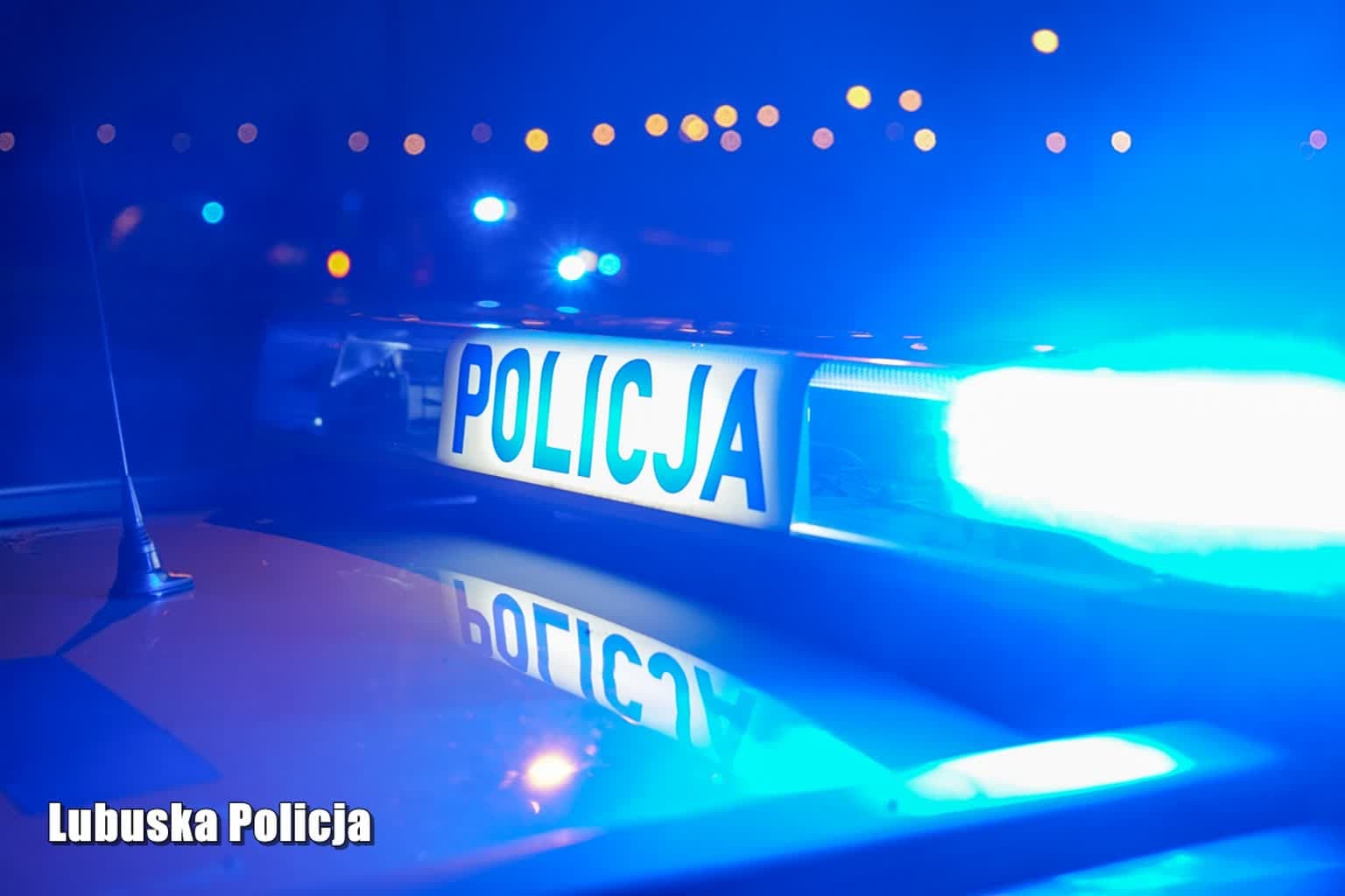 Jeden samochód spłonął, a drugi uderzył o drzewo – dwa zdarzenia drogowe poza Gorzowem