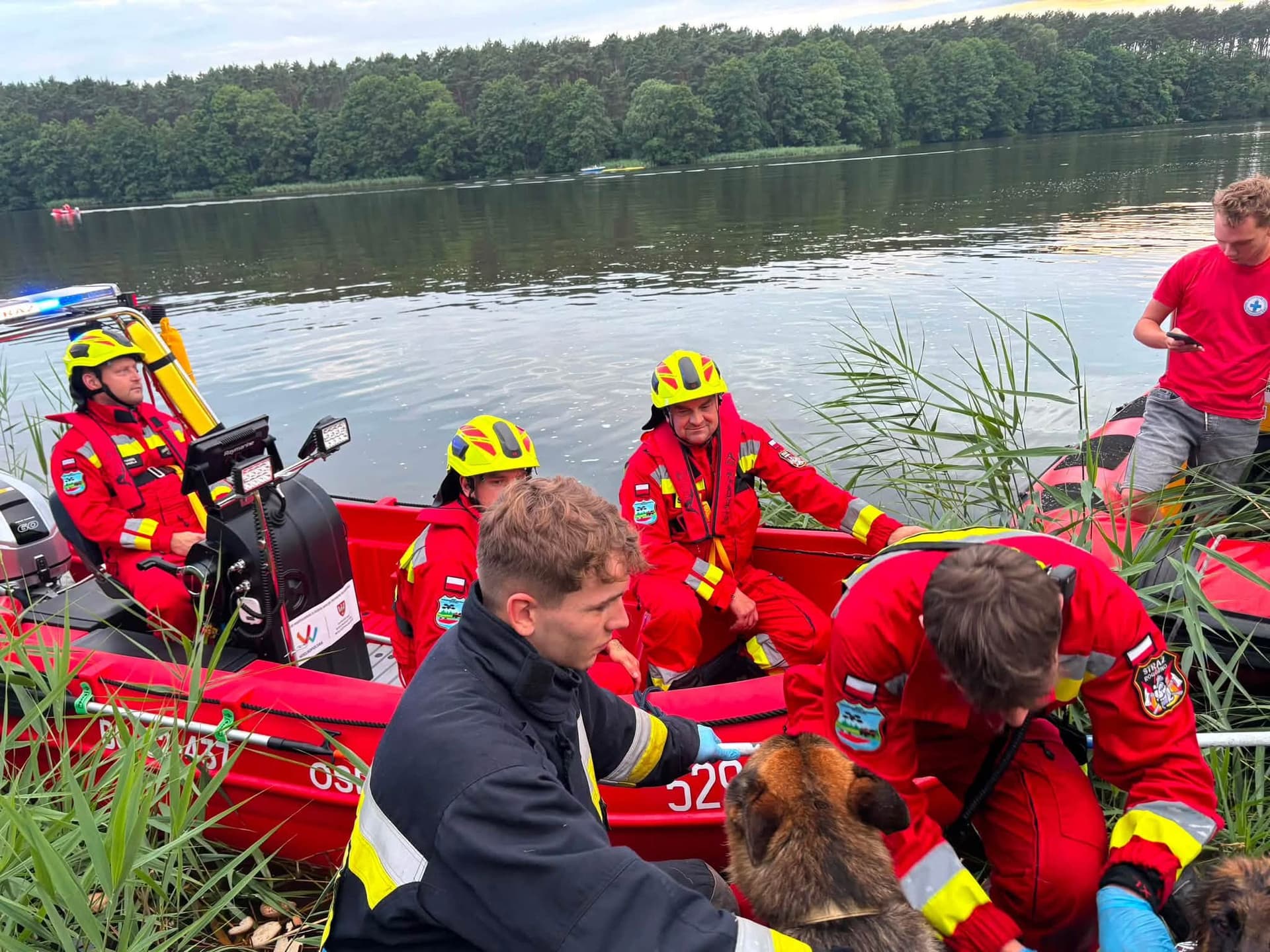 Pies uratował psa. Do końca czuwał przy przyjacielu Rogoźno
