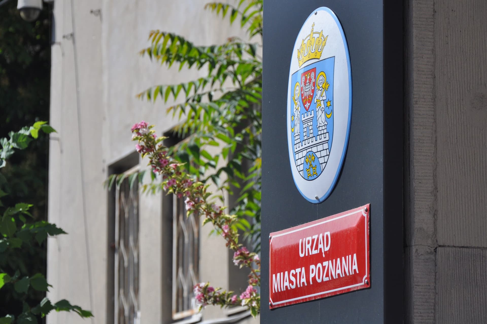 Nowe zasady na sesji po ataku ciastem. Będą kontrole i depozyt bagażu Poznań