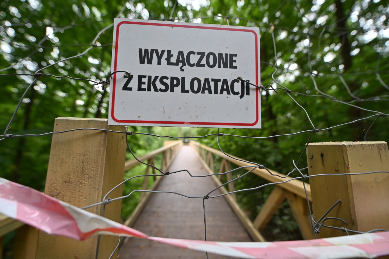Ścieżka w koronach drzew pod lupą radnego. Rusza kontrola inwestycji Poznań