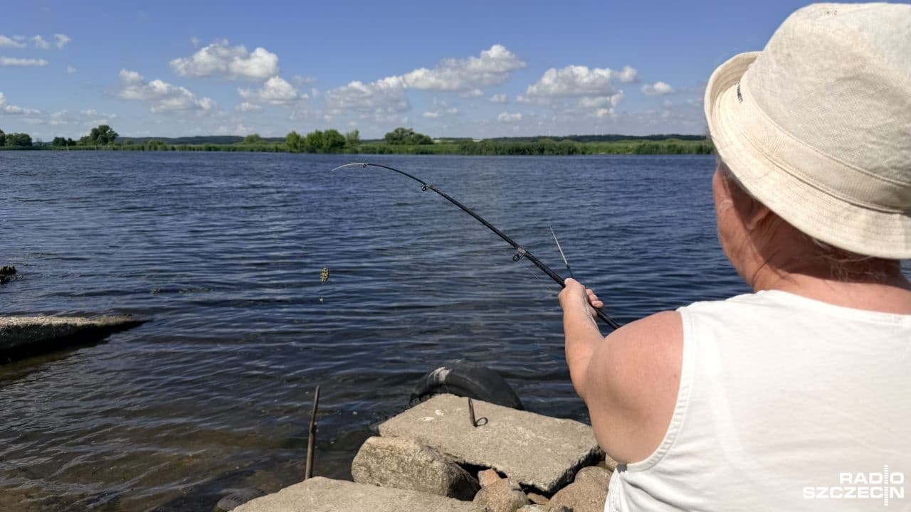 Odra pod obserwacją. Kolejne sygnały o przypadkach śniętych ryb [ZDJĘCIA]