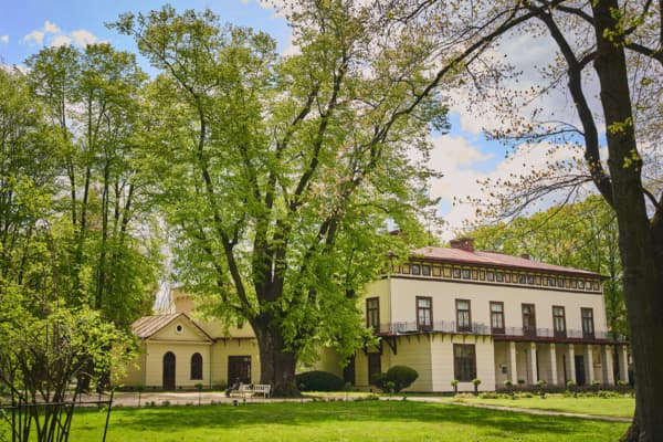 Lipa z Przeworska Drzewem Roku 2026
