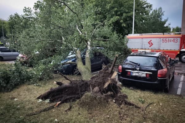 Powalone drzewa i zerwane dachy na Podkarpaciu