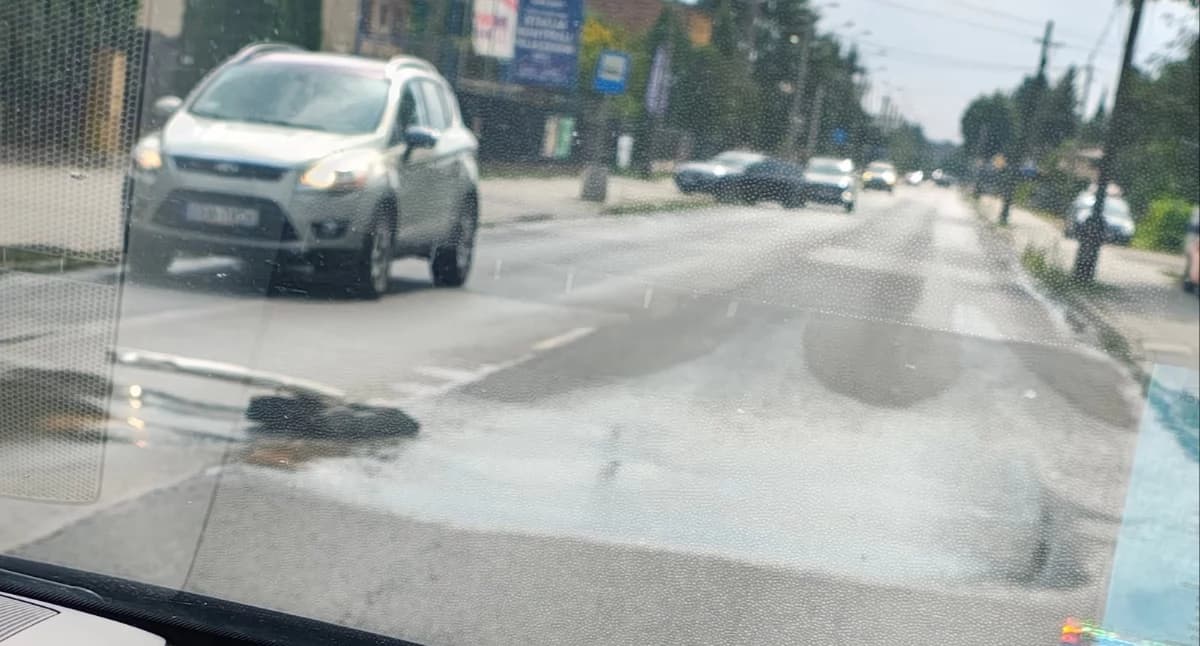 Czytelnik: Na Przedborskiej leje się woda. Kolejna awaria? PGK: - Spokojnie, dzisiaj zostanie naprawione