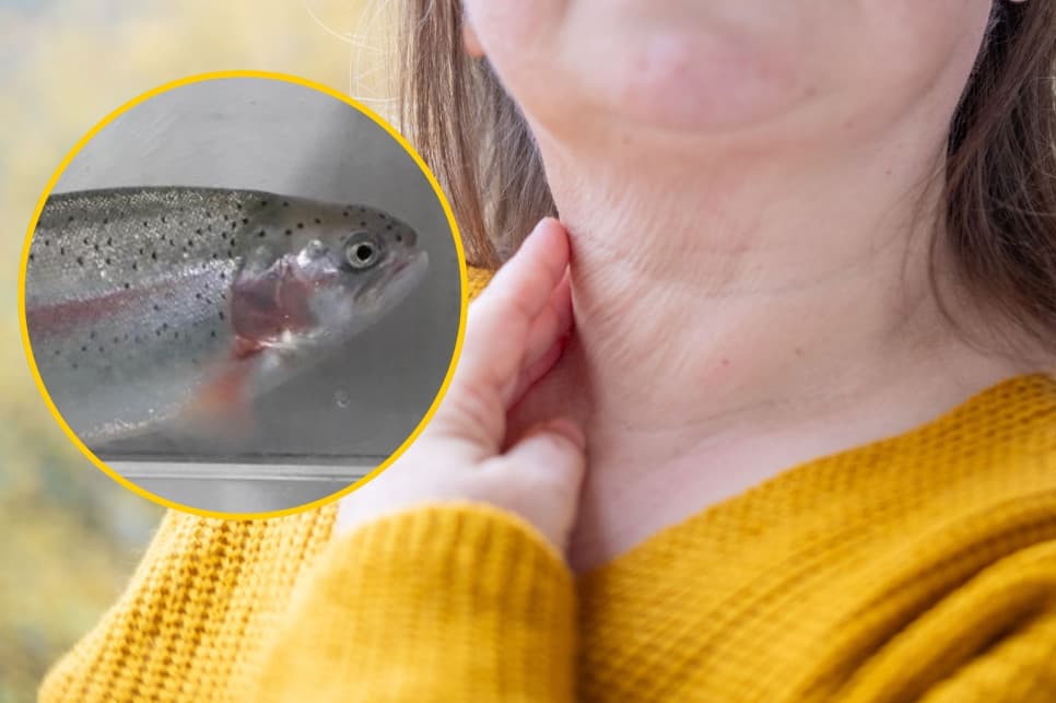 „Ryby głosu nie mają”. Za to mają... szyję