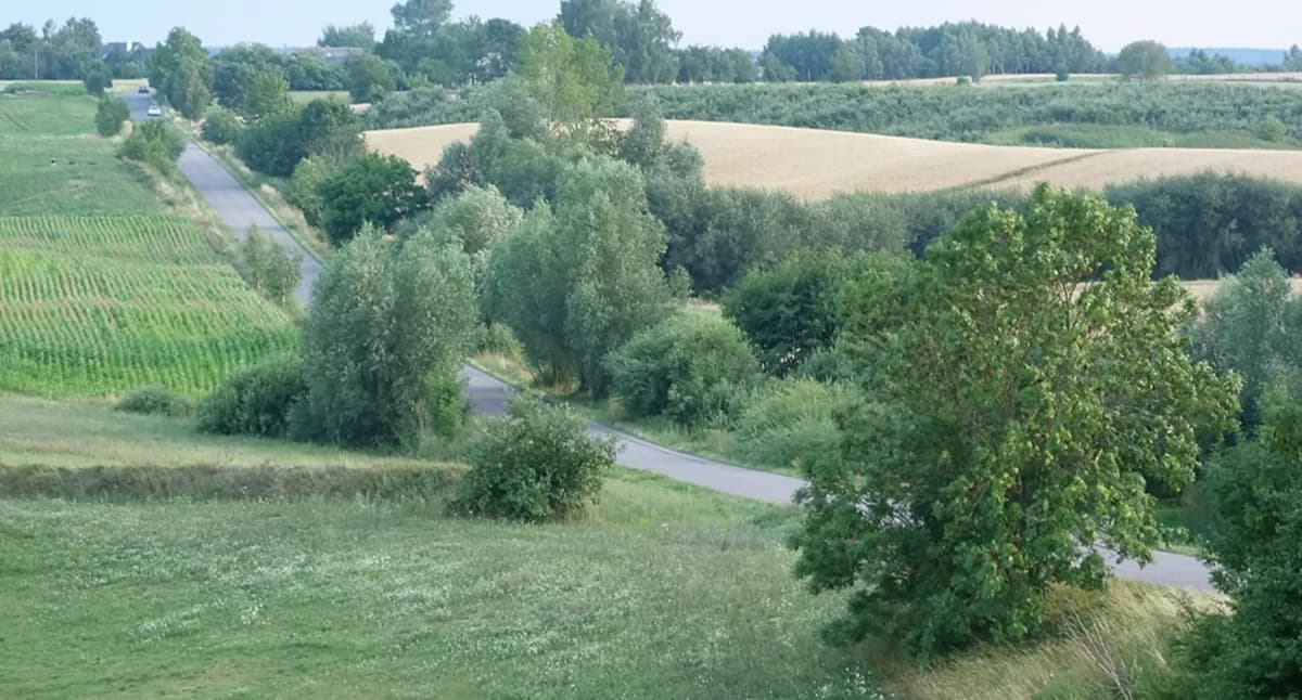 Zadbają o zazielenienie gminy