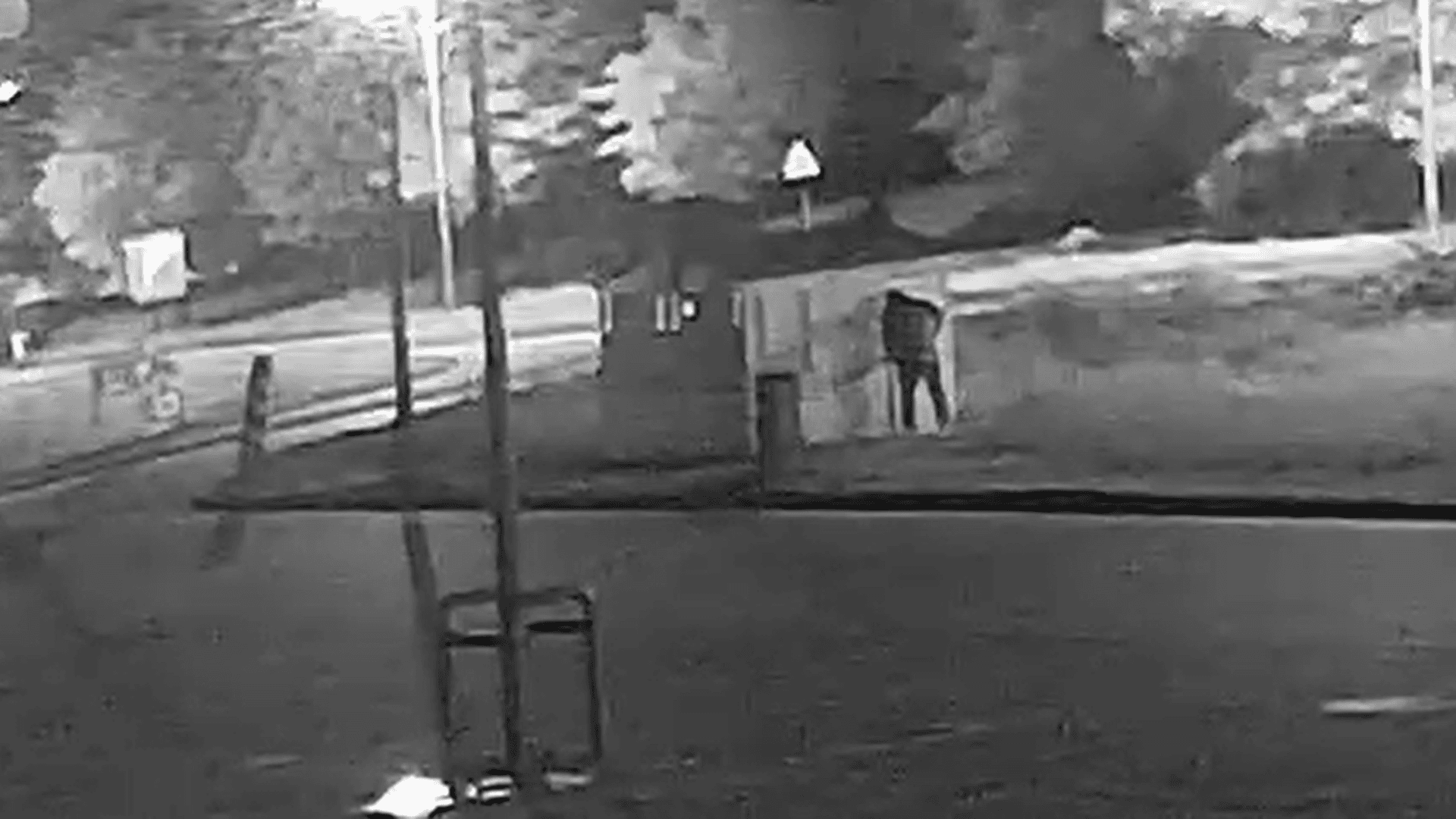 Truskawkowa wojna w Luboniu. 53-latek w rękach policji