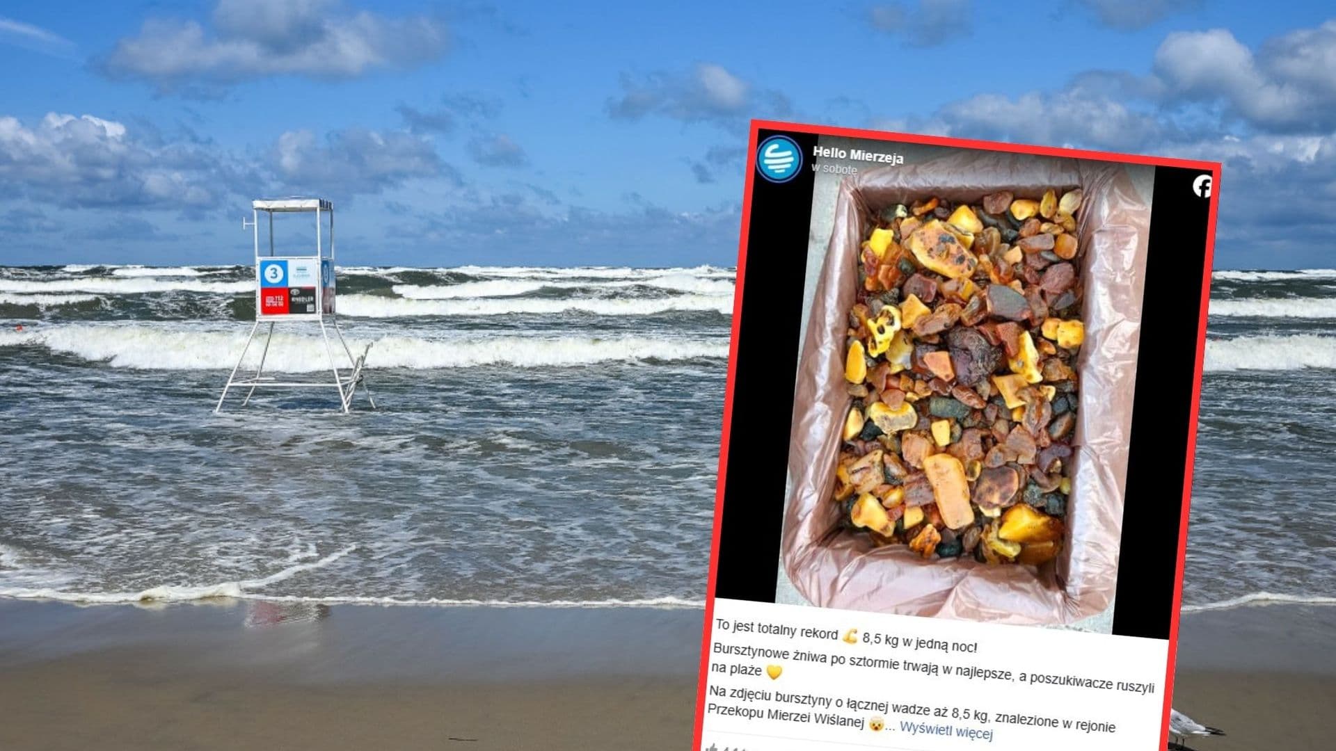 Znaleźli 8,5 kg „złota Bałtyku” w jedną noc. Ile można dostać za bursztyny?