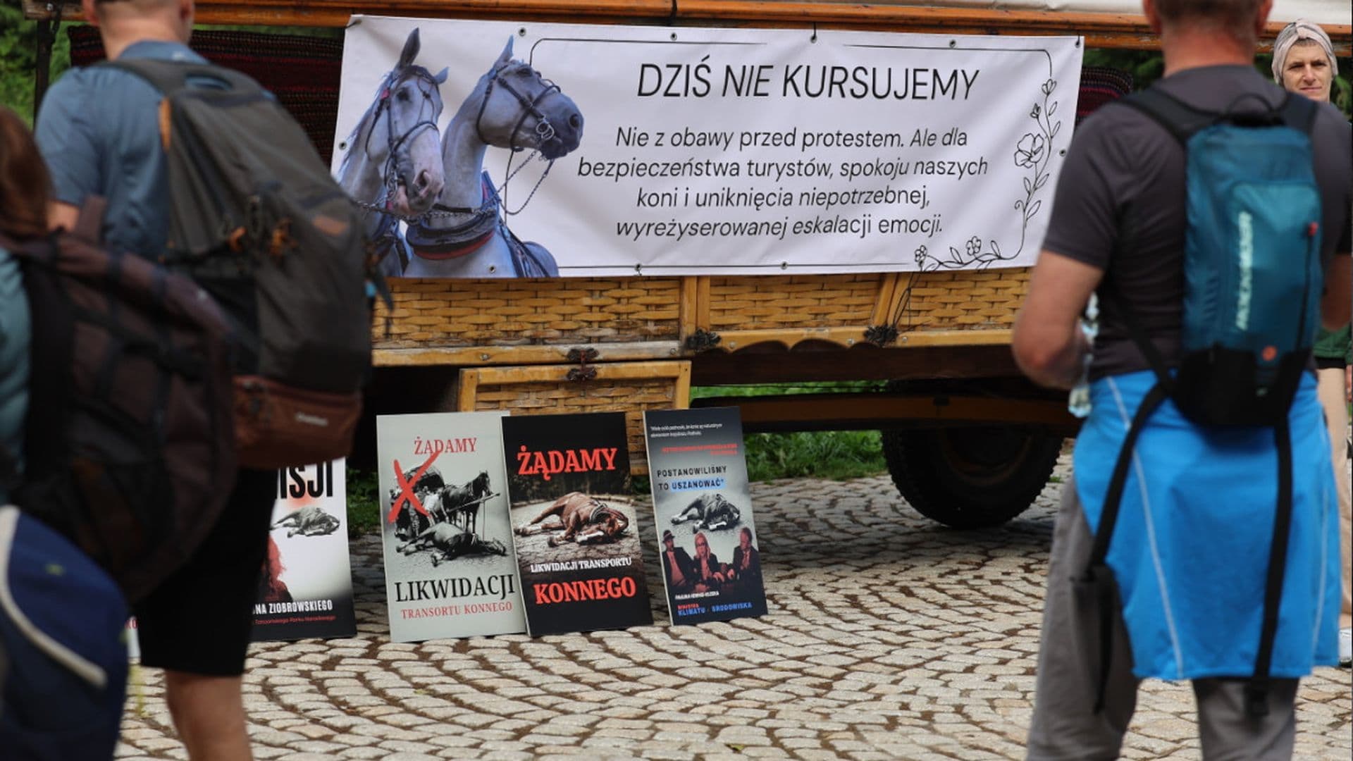 Protest na trasie do Morskiego Oka. „Dla mnie jest to świadome znęcanie się”